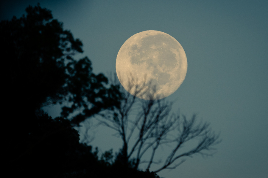 la influencia de la luna en los signos