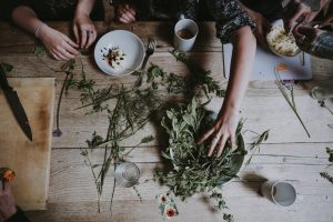 plantas y hierbas de proteccion