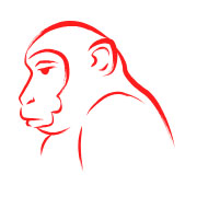 Zodíaco Chinês - Macaco