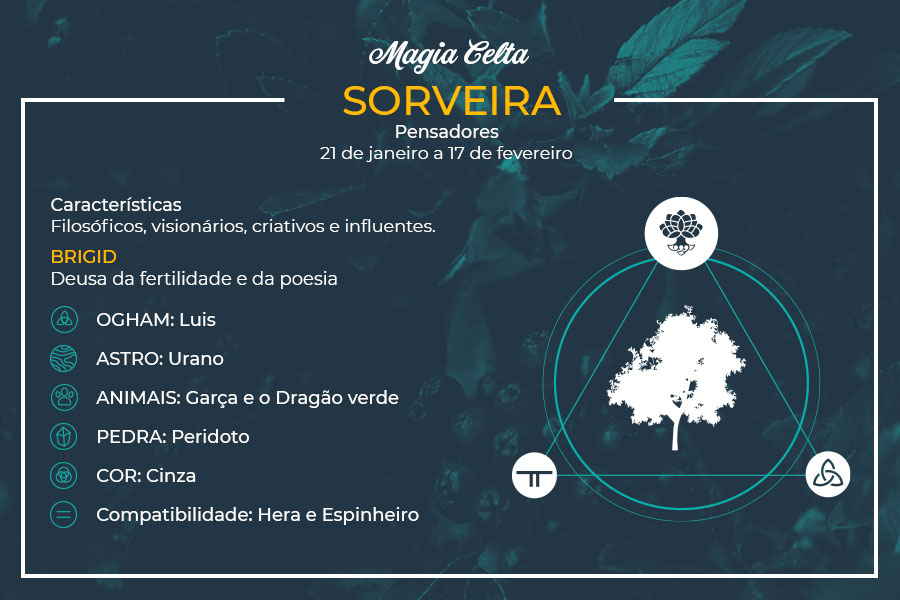 Sorveira