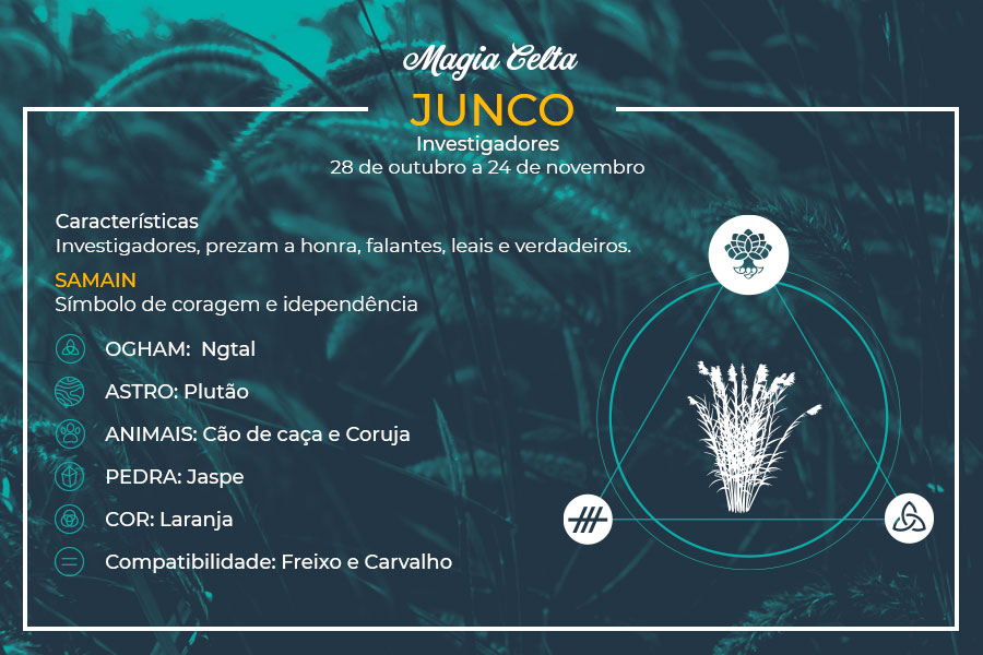 Junco