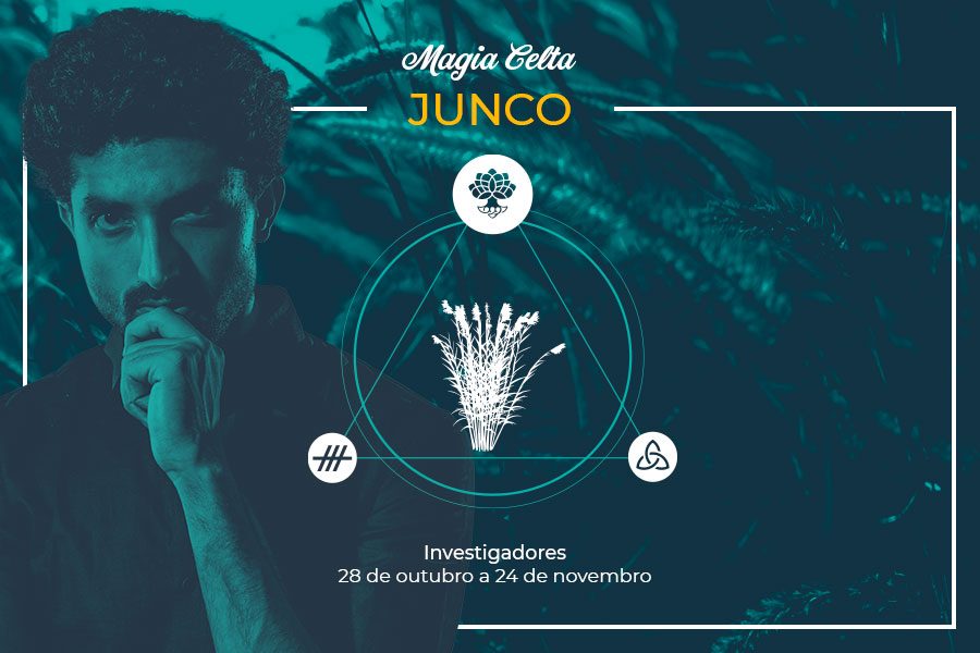 Junco