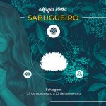 Sabugueiro