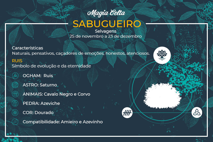 Sabugueiro